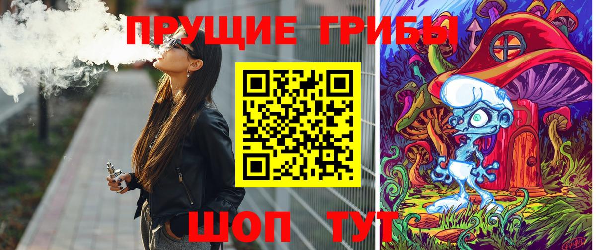 Кудрово  Галлюциногенные грибы Psilocybe  Вход с VPN 